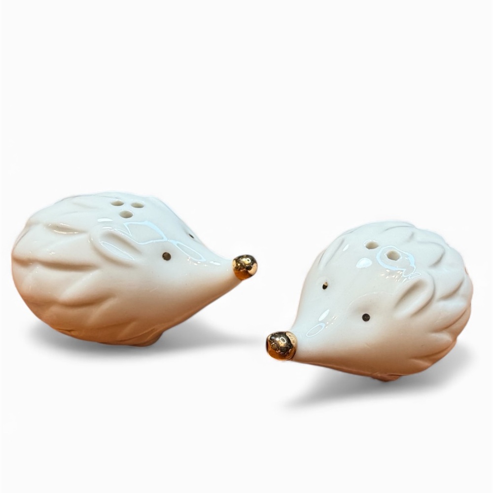 Hedgehog Salt and Pepper Set